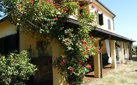 Casolare Casa Ricci Bed And Breakfast